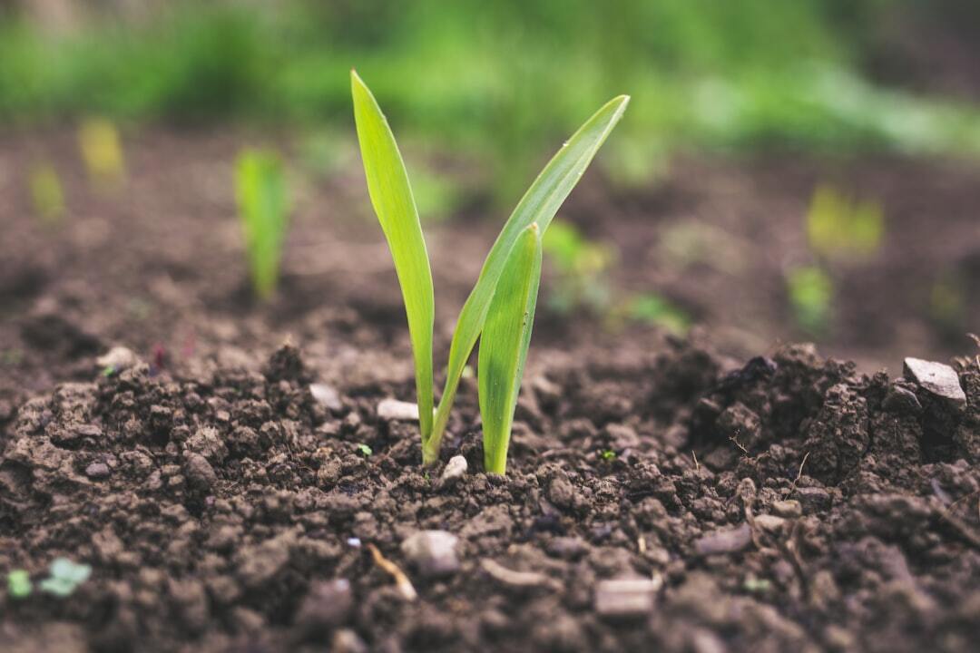 Top Continuous Improvement Tools to Help Drive Growth