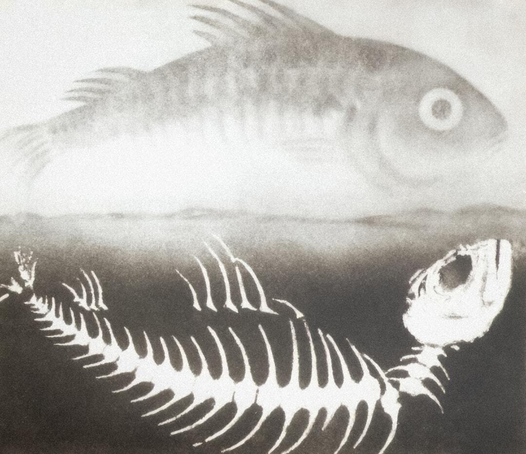 What is a fishbone diagram?