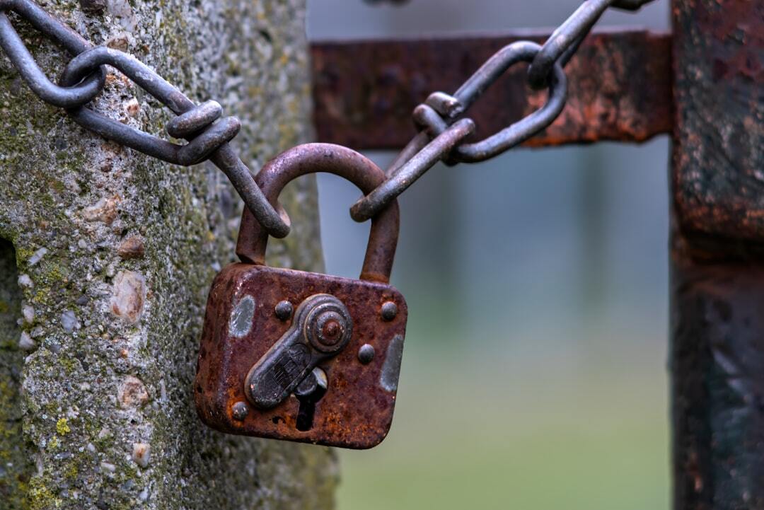MCP security broke in 60 days - what survived