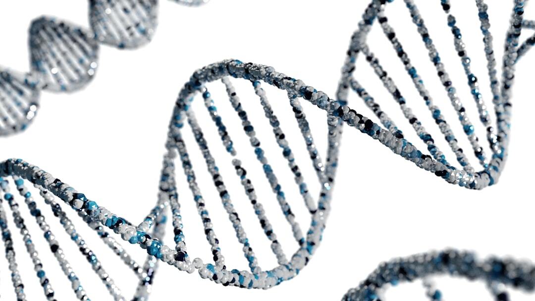 The process collaboration pair makes great organizational DNA