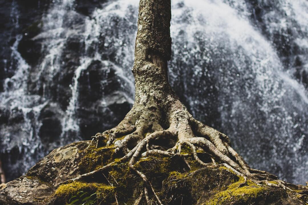 Root cause analysis stops you from fixing symptoms forever