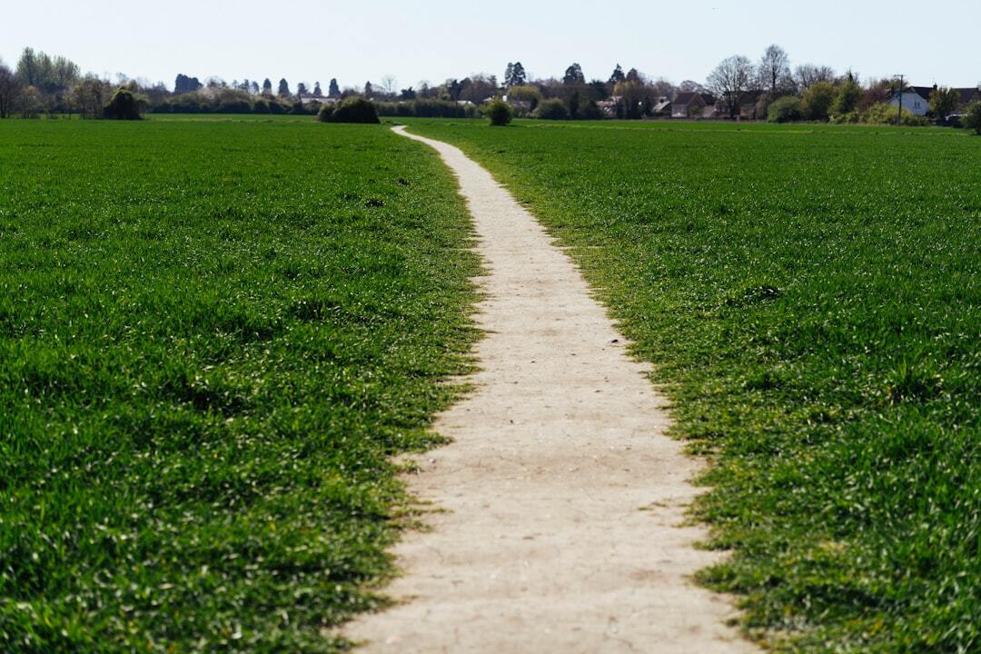 Why nobody follows your SOPs